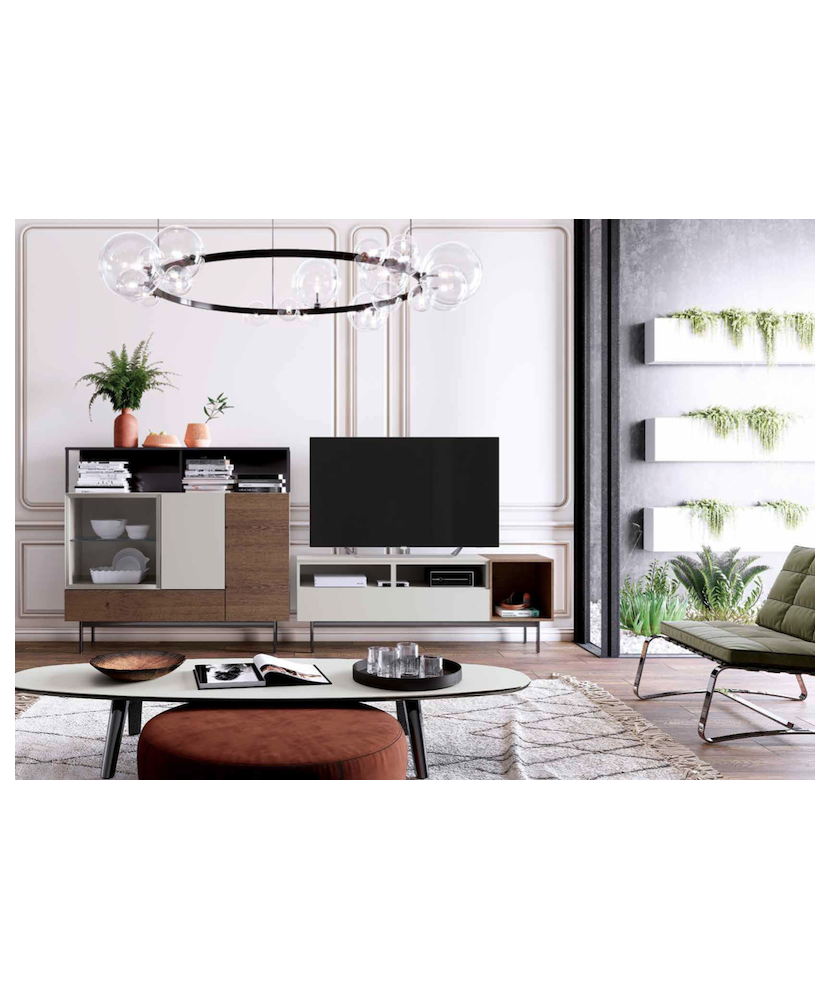 Composición mueble TV