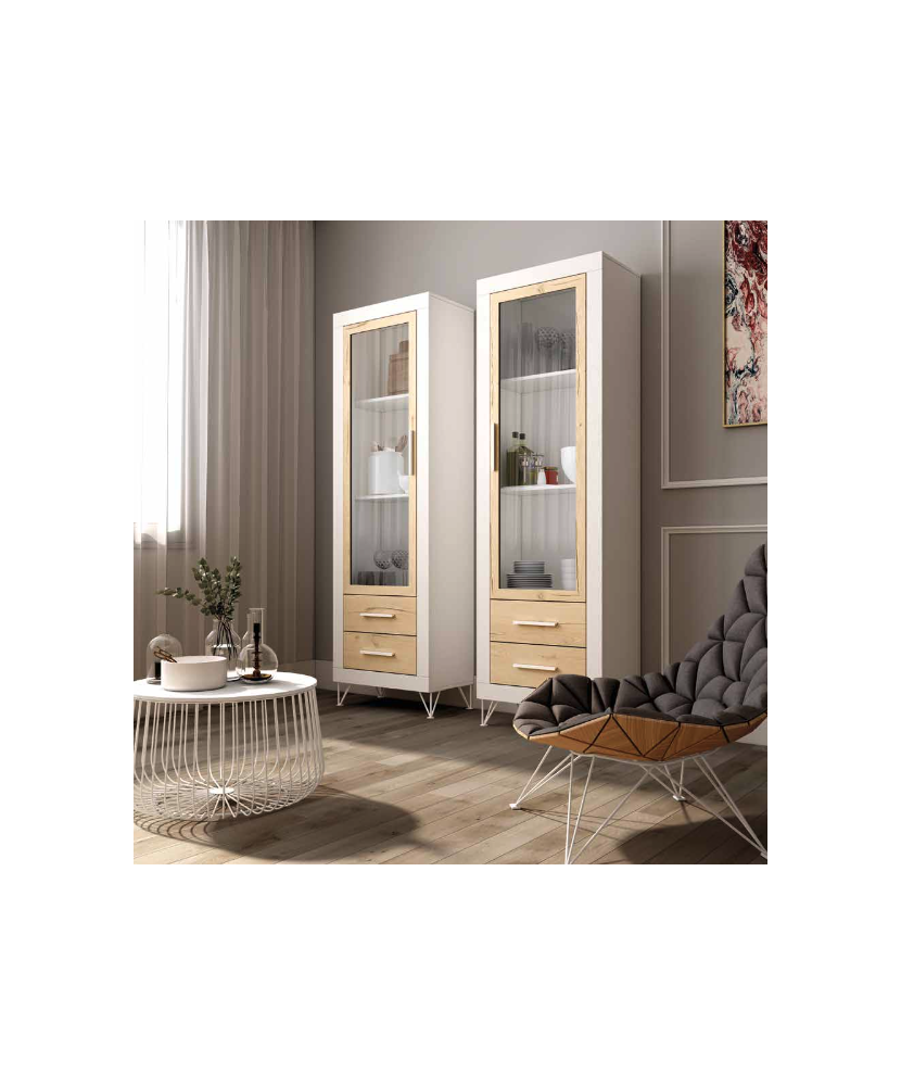 Vitrina con cajones y puerta