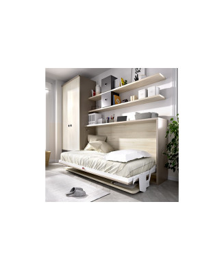 Cama abatible con armario y escritorio