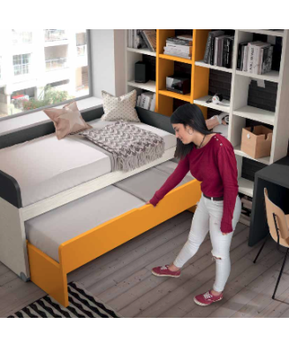 Dormitorio juvenil con dos camas y estantes