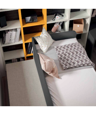 Dormitorio juvenil con dos camas y estantes