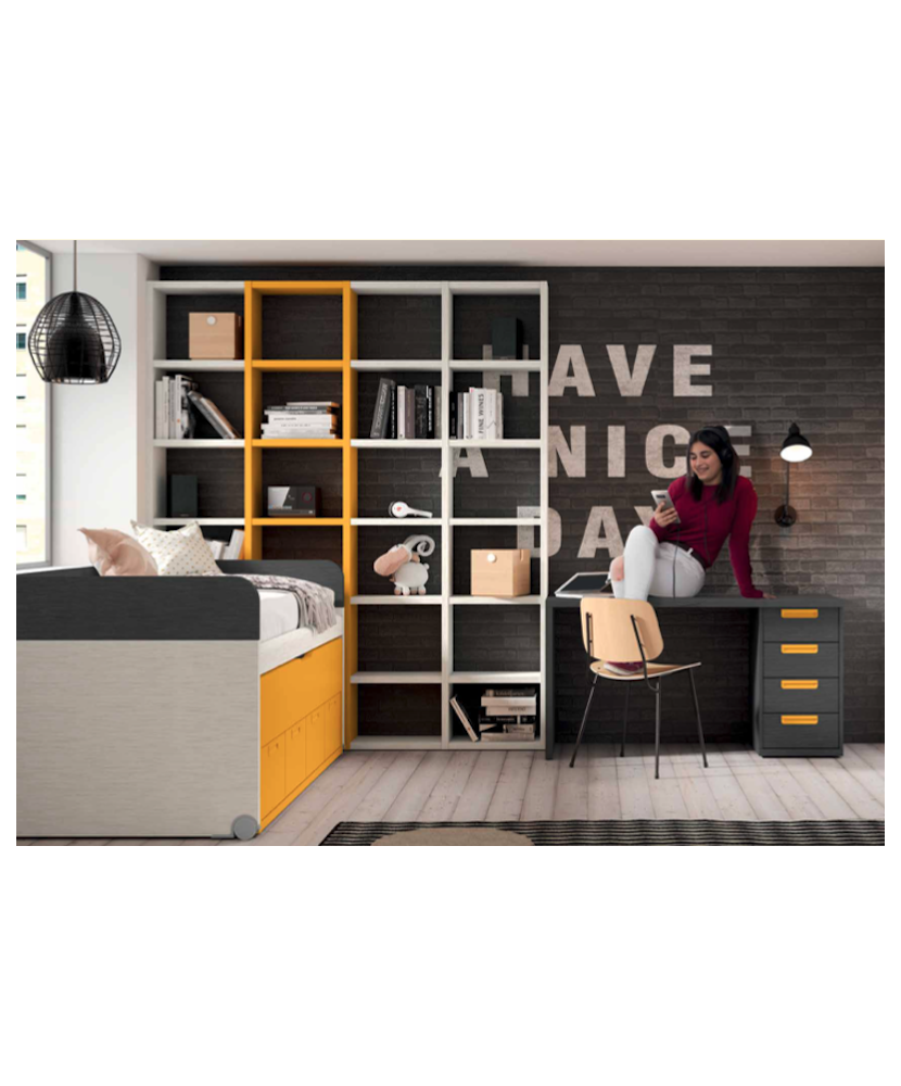Dormitorio juvenil con dos camas y estantes