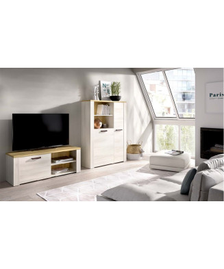 Conjunto de muebles de salón